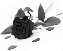 rouw overlijden hersentumor